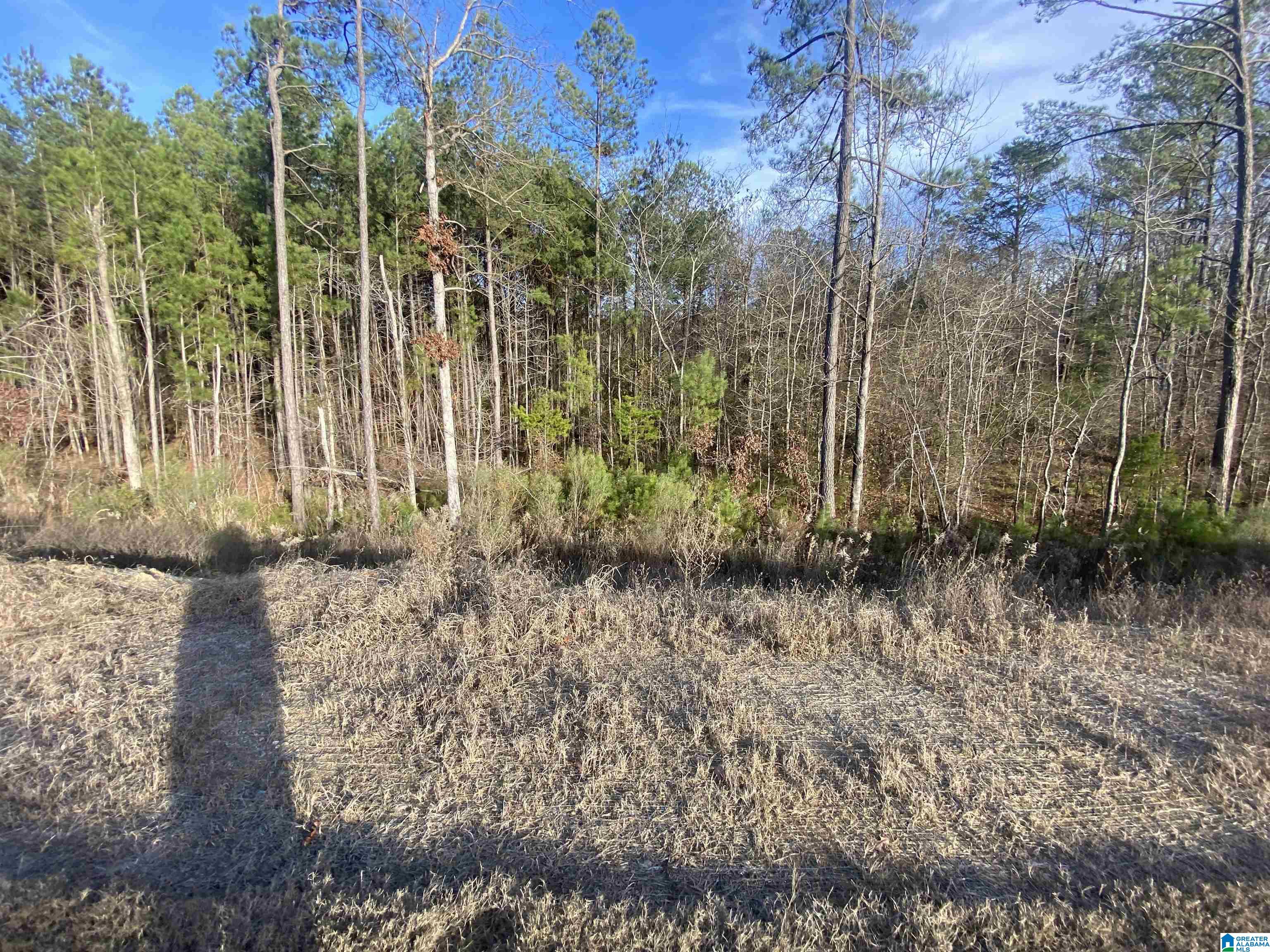 2115 Turquoise Lane Calera, AL 35040 - Photo 23 of 24