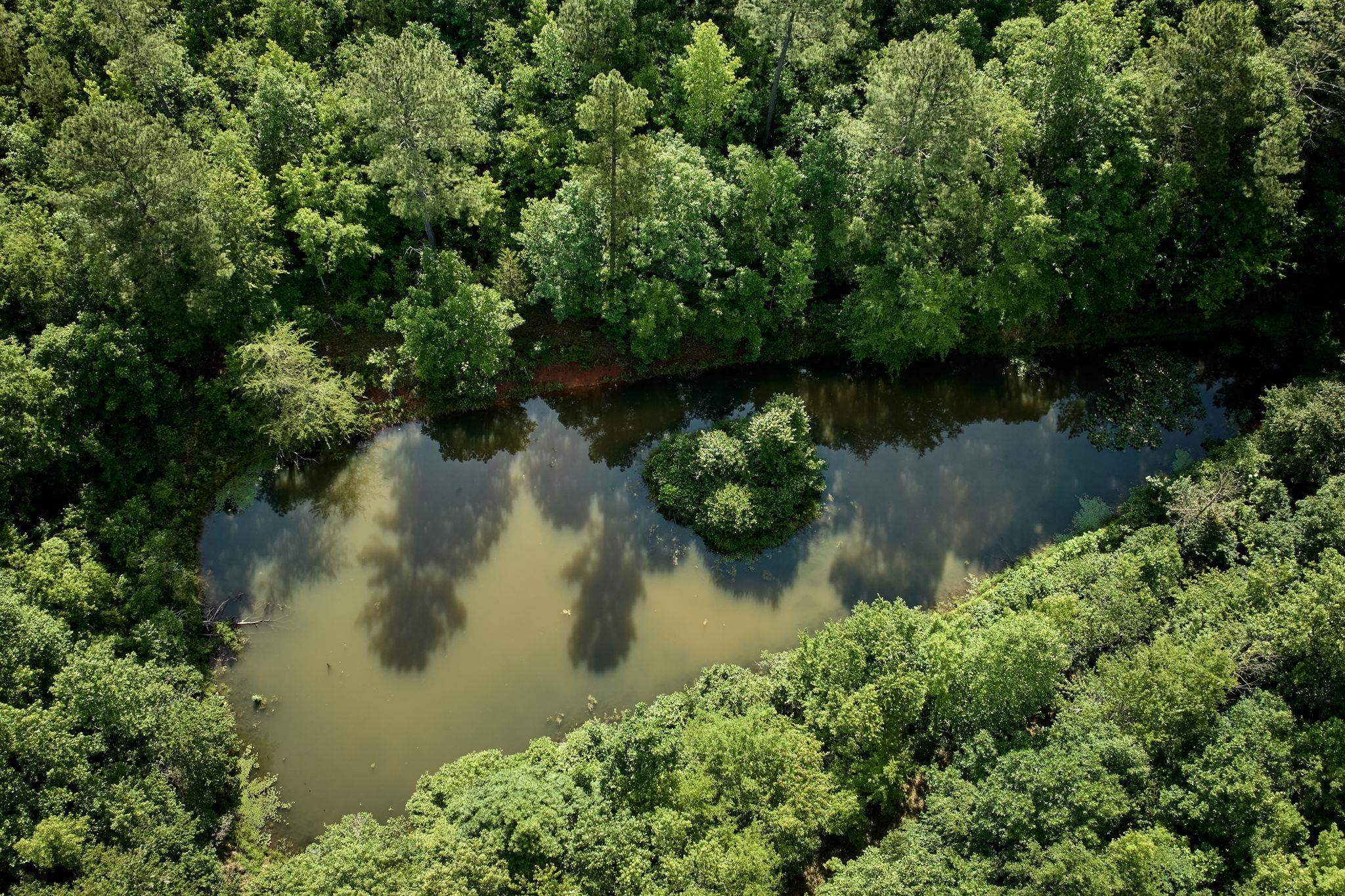 Tbd Melvin Hill Road Campobello, SC 29322 - Photo 2 of 29