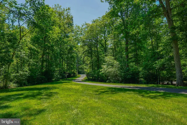 a view of a grassy field