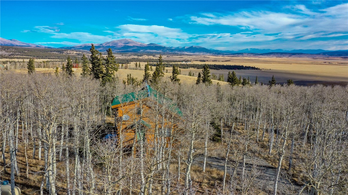 165 Sheep Ridge Road Fairplay, CO 80440 - Photo 26 of 33 Gallery Image 26