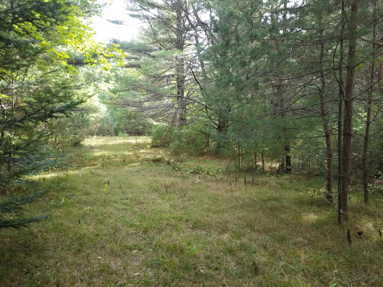 10066 Cedar Falls Road Hazelhurst, WI 54531 - Photo 11 of 15 Gallery Image 11