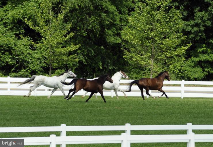 4017 Ranch Road Upper Marlboro, MD 20772 - Photo 12 of 15 Equestrian Recreational Community