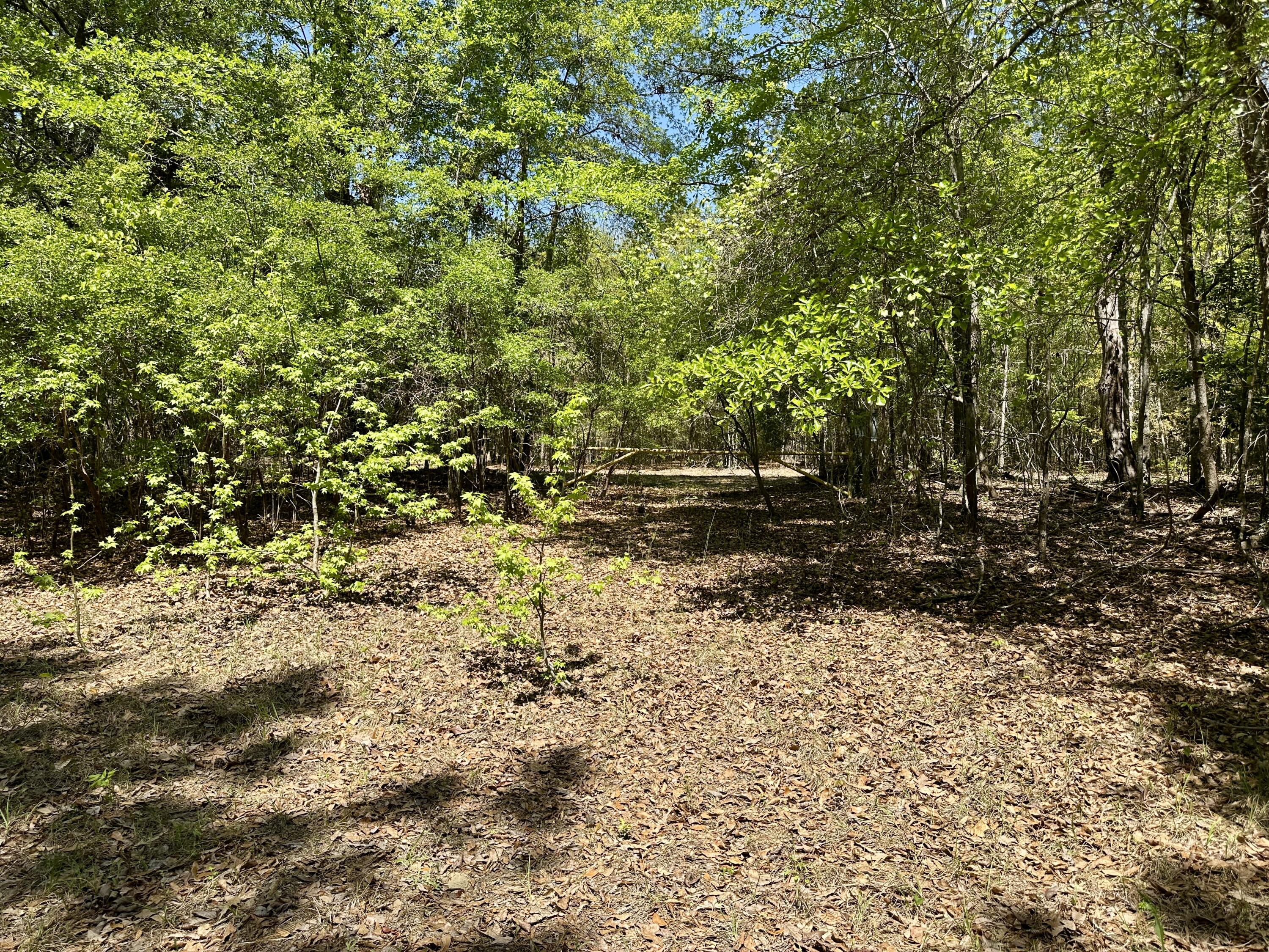 3021 Salley Road Salley, SC 29137 - Photo 44 of 73