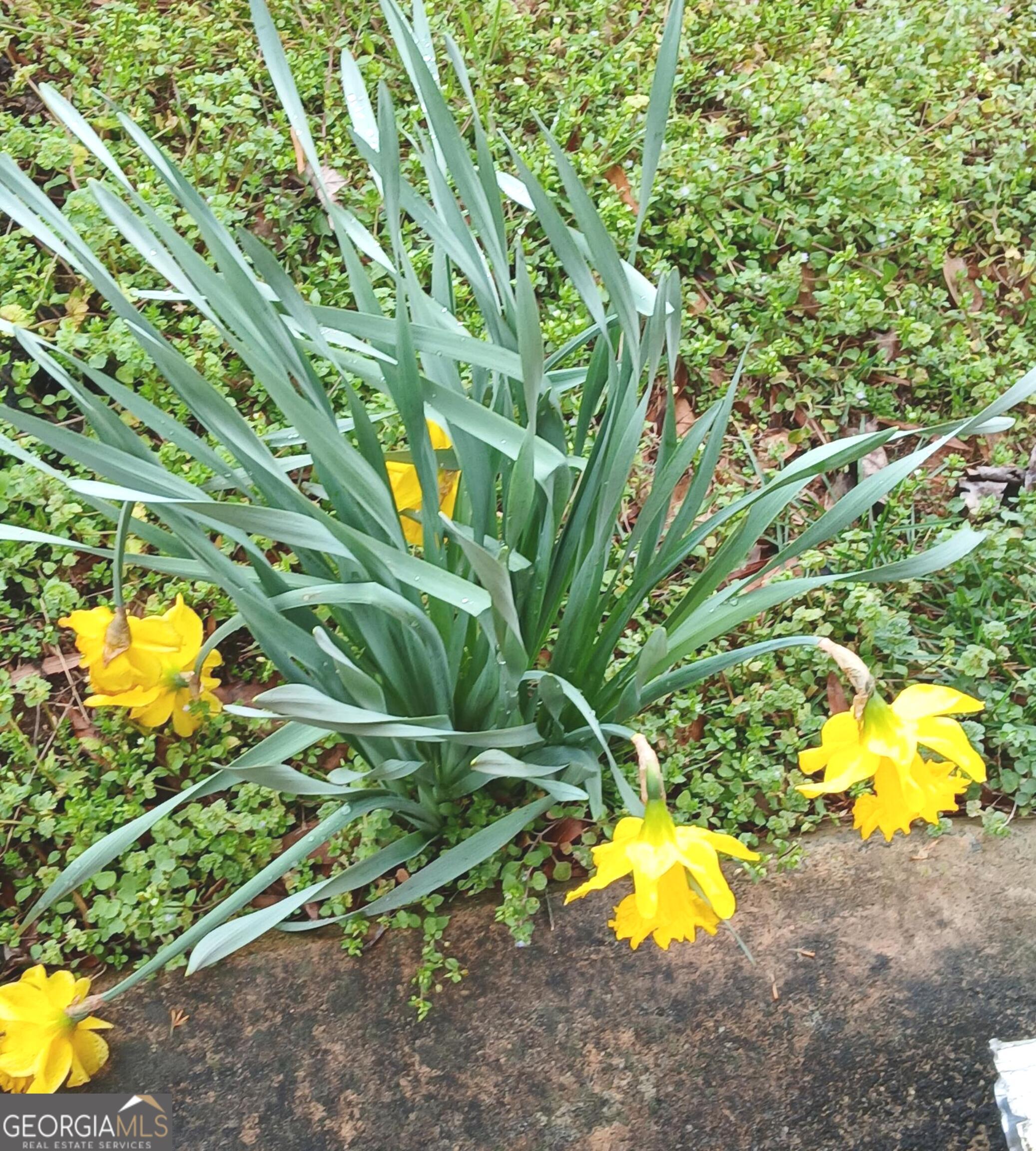 242 Lake Jodeco Road Jonesboro, GA 30236 - Photo 7 of 71