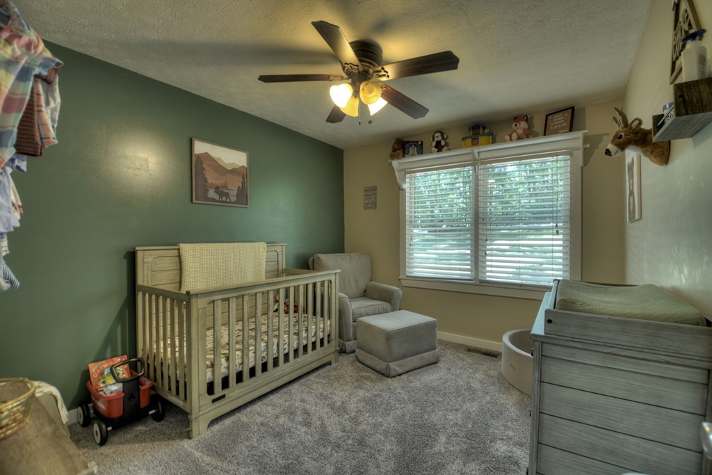 611 Davis Road Blue Ridge, GA 30513 - Photo 17 of 35