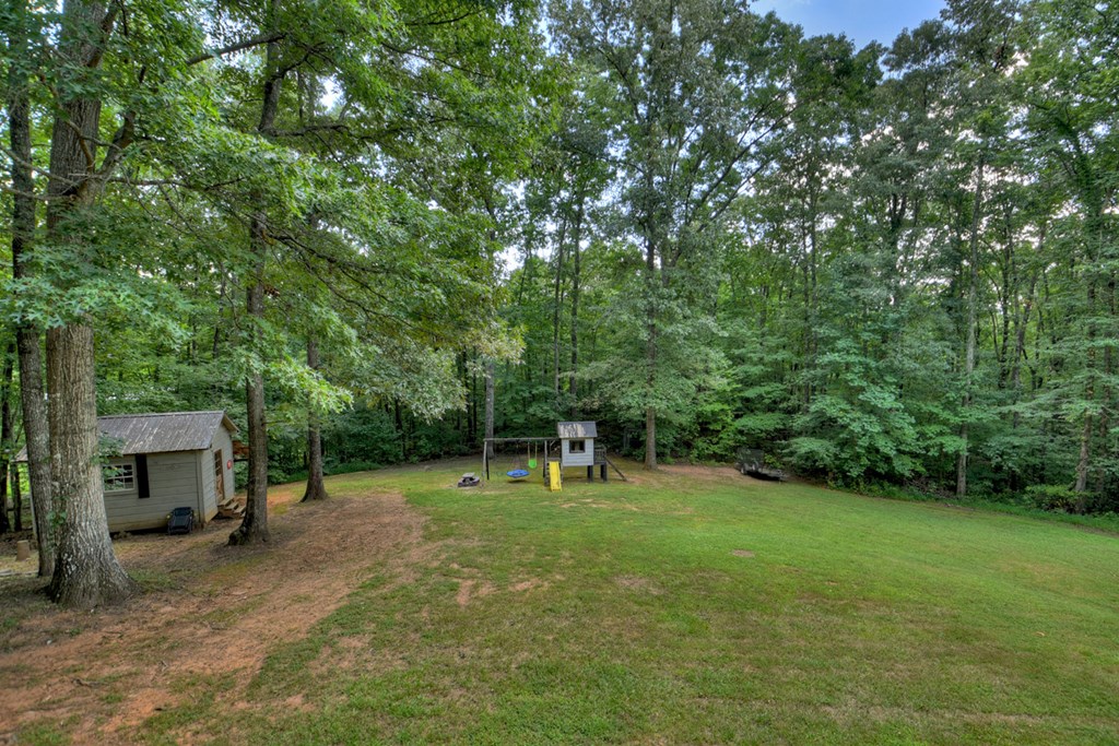 611 Davis Road Blue Ridge, GA 30513 - Photo 28 of 35