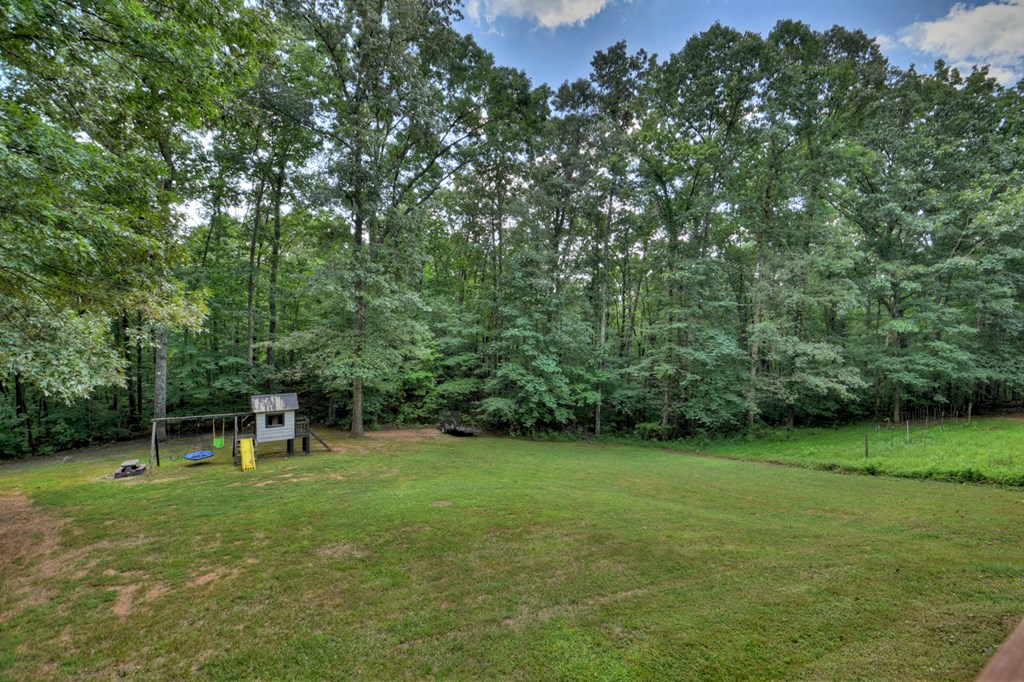 611 Davis Road Blue Ridge, GA 30513 - Photo 31 of 35
