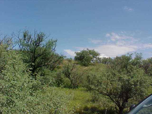 948 Calle Carmona Rio Rico, AZ 85648 - Photo 2 of 3