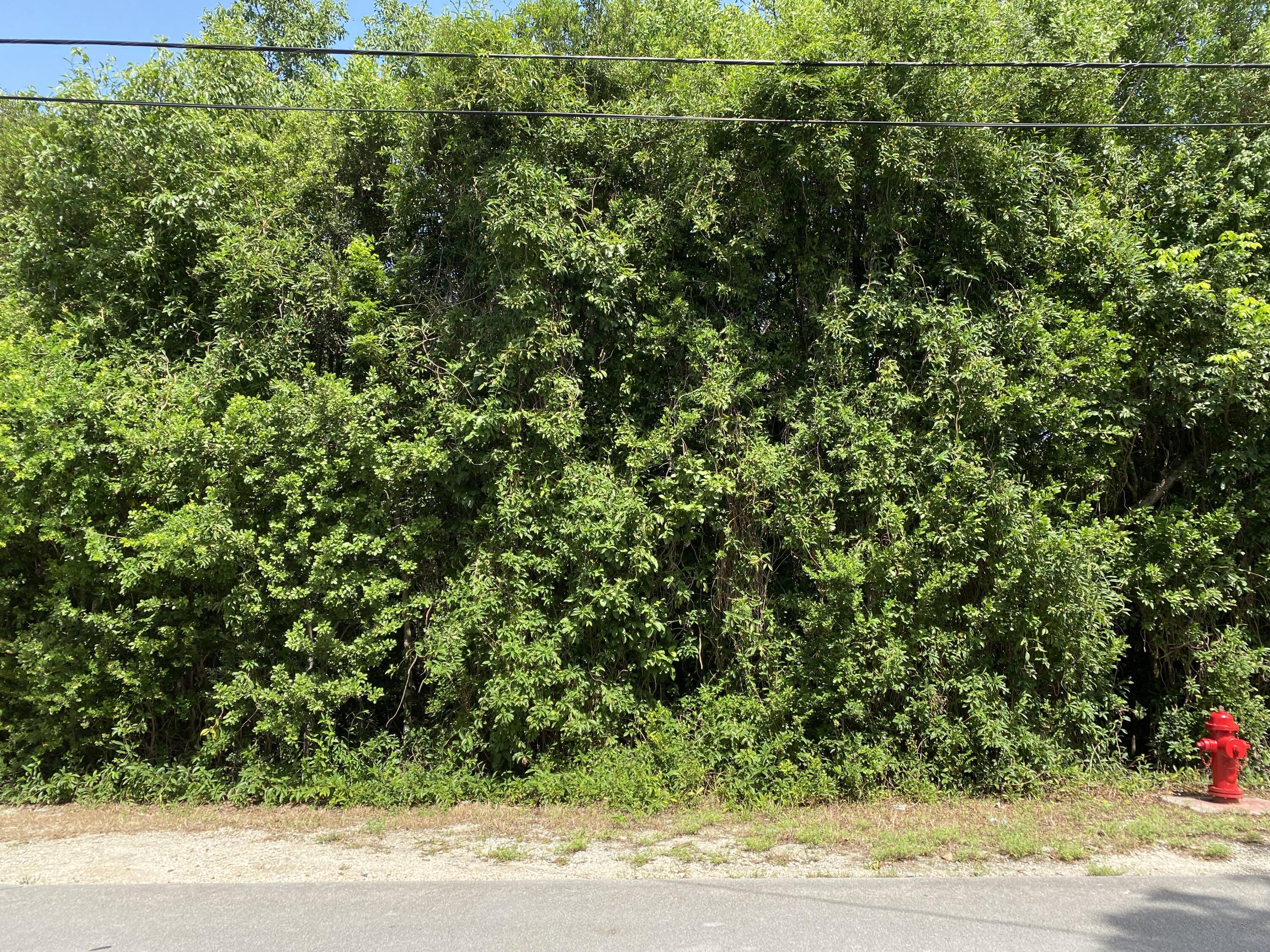 1006 Gibraltar Road Key Largo, FL 33037 - Photo 1 of 4 IMG_7814