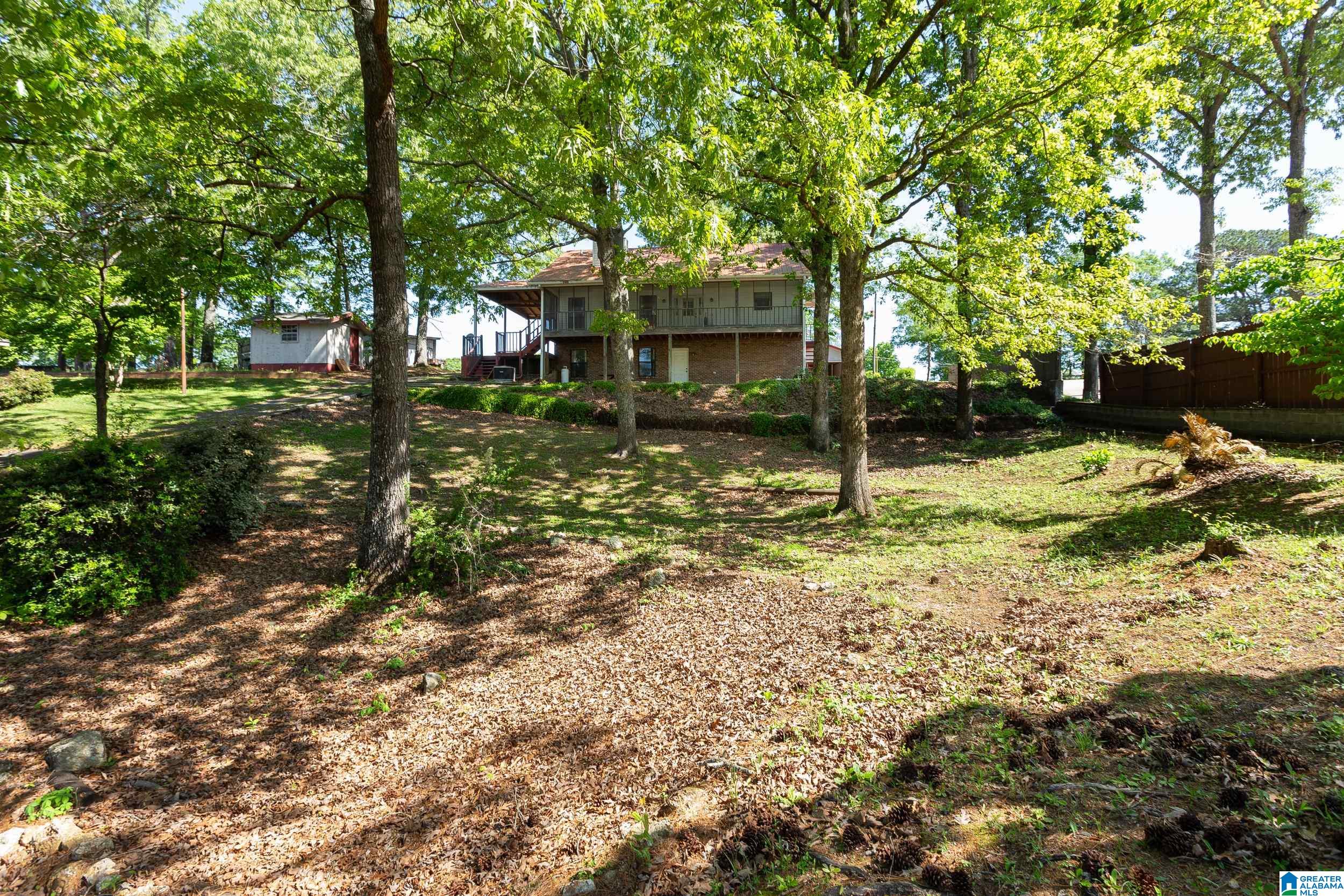 524 Coosa Island Road Cropwell, AL 35054 - Photo 3 of 39