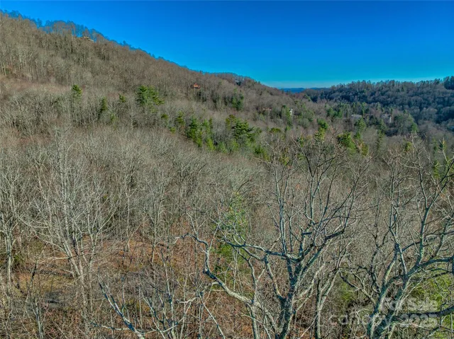 $50,000 | 211 Ladys Fern Trail, Laurel Park, NC 28739