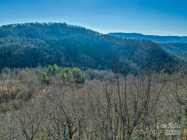 $50,000 | 211 Ladys Fern Trail, Laurel Park, NC 28739