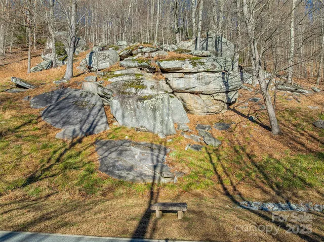 $50,000 | 211 Ladys Fern Trail, Laurel Park, NC 28739