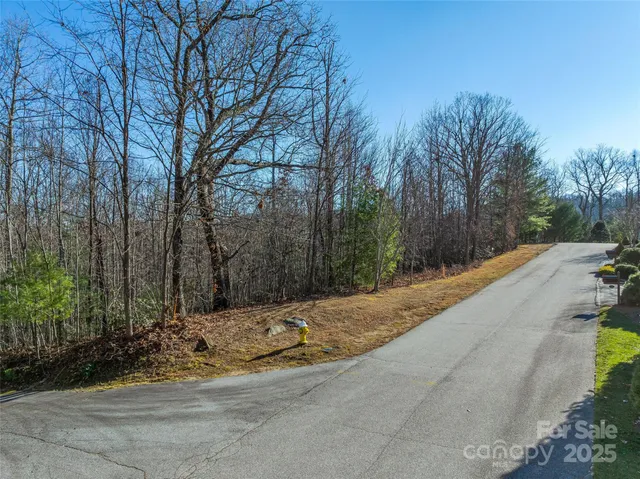 $50,000 | 211 Ladys Fern Trail, Laurel Park, NC 28739