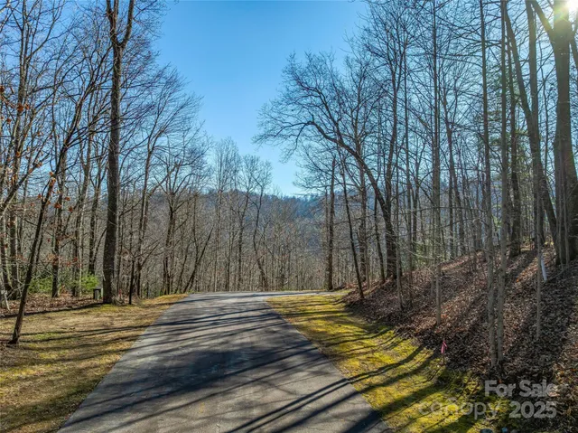 $50,000 | 211 Ladys Fern Trail, Laurel Park, NC 28739