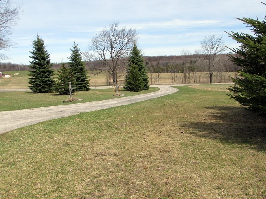 3590 East Brutus Road Alanson, MI 49706 - Photo 24 of 24 Gallery Image 24