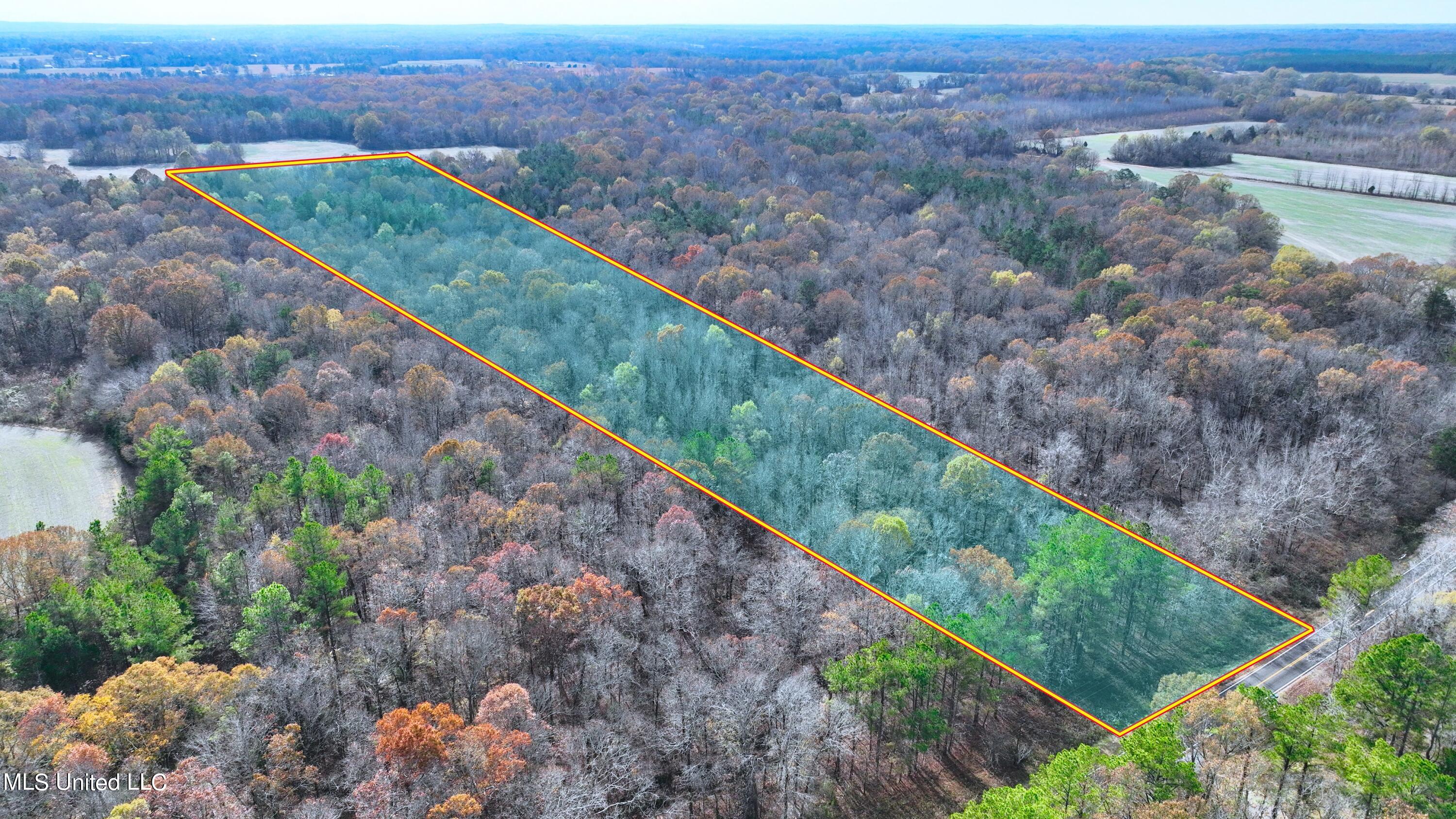 2200 Bryan Road Michigan City, MS 38647 - Photo 1 of 33 Lines