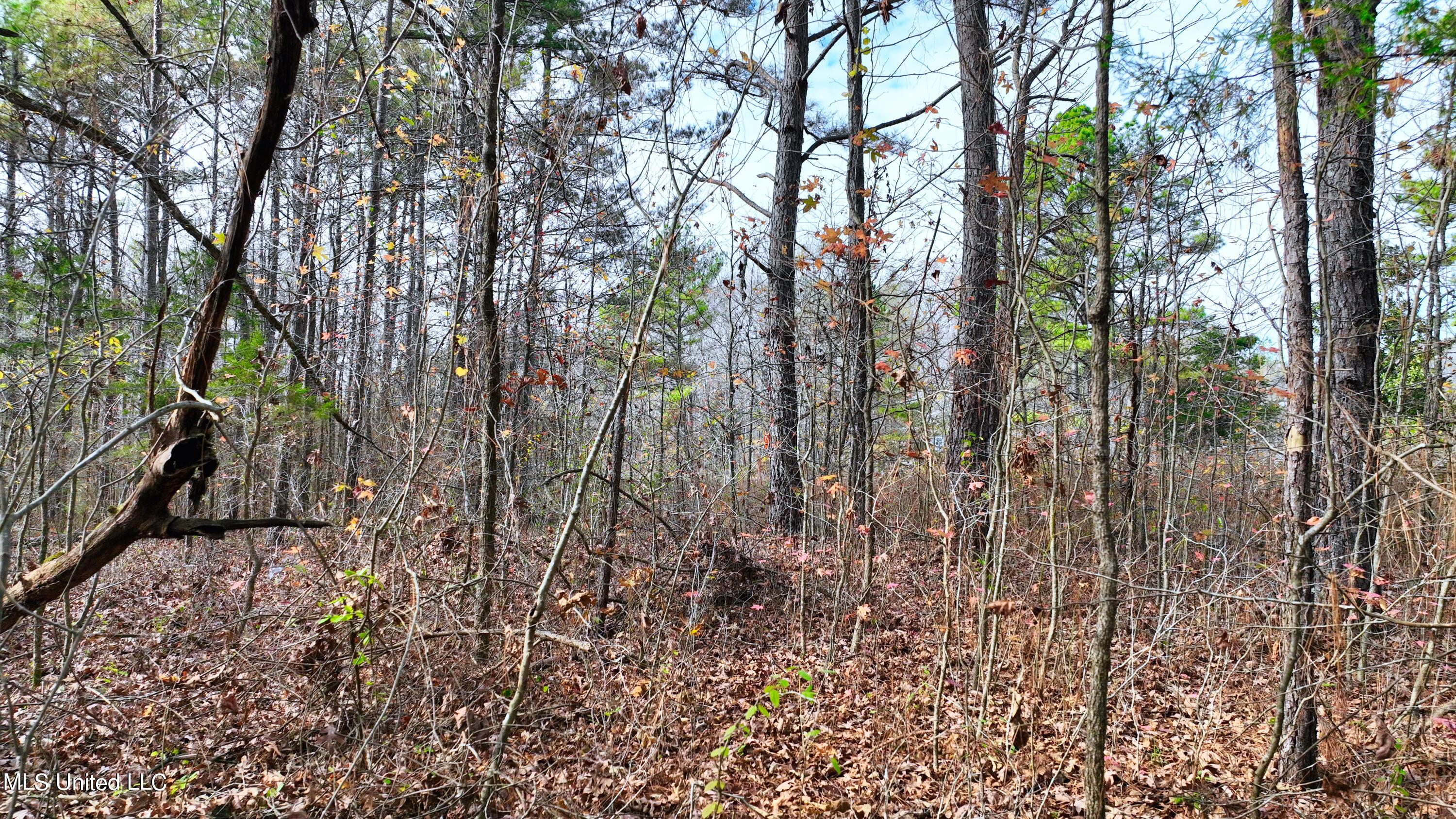 2200 Bryan Road Michigan City, MS 38647 - Photo 12 of 33 DJI_0988