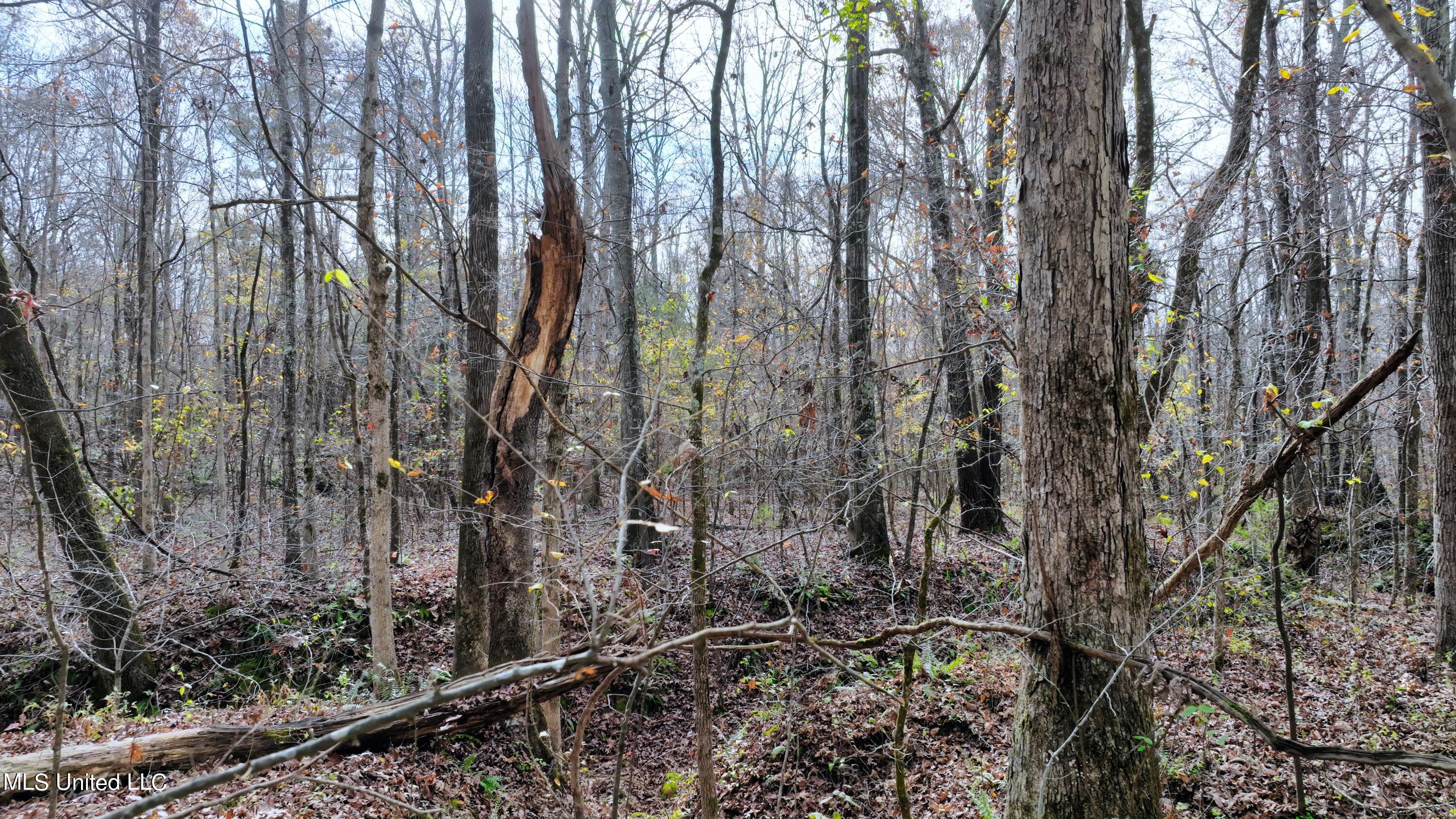 2200 Bryan Road Michigan City, MS 38647 - Photo 13 of 33 DJI_0989