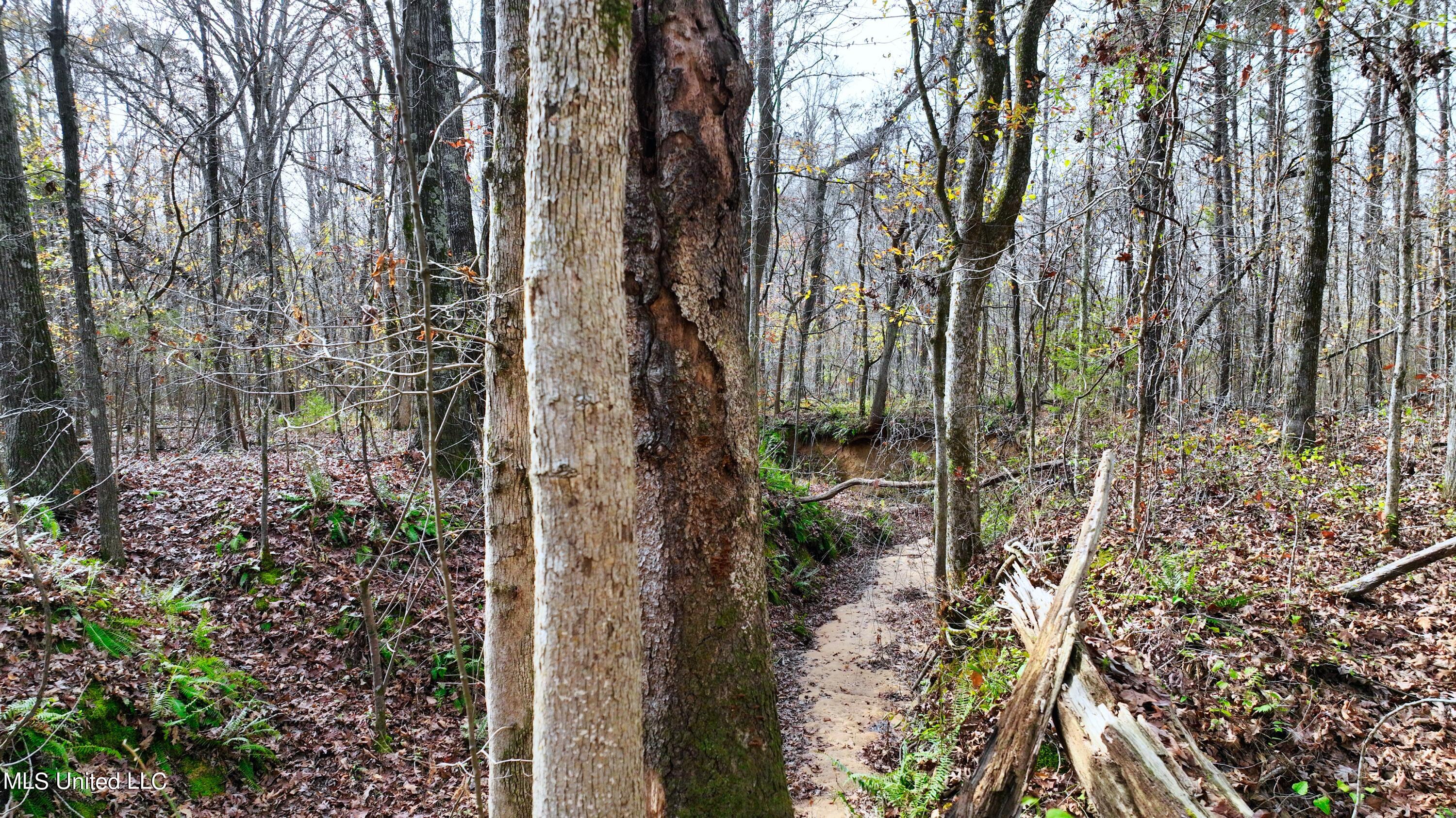 2200 Bryan Road Michigan City, MS 38647 - Photo 19 of 33 DJI_0995