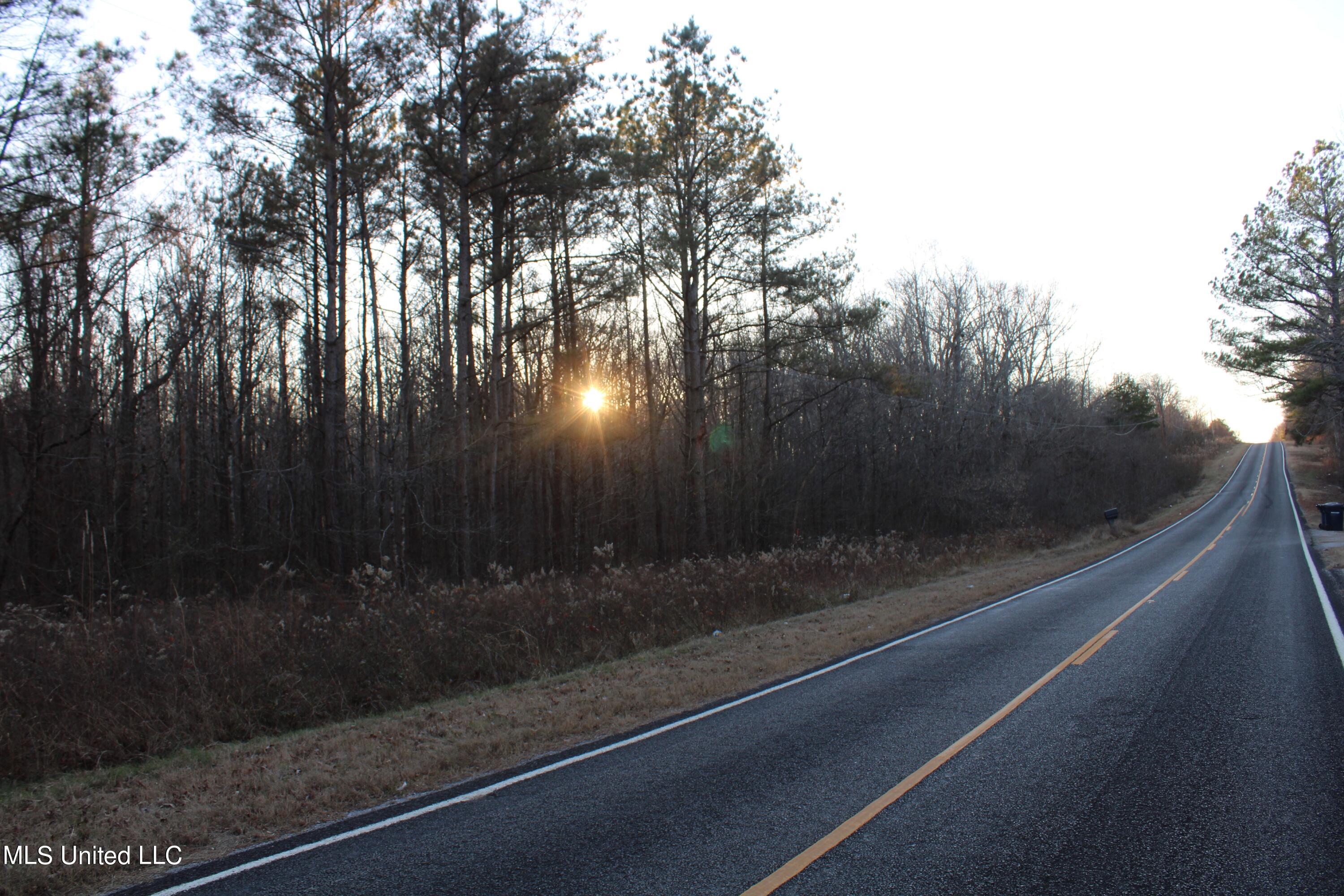 2200 Bryan Road Michigan City, MS 38647 - Photo 20 of 33 IMG_2865
