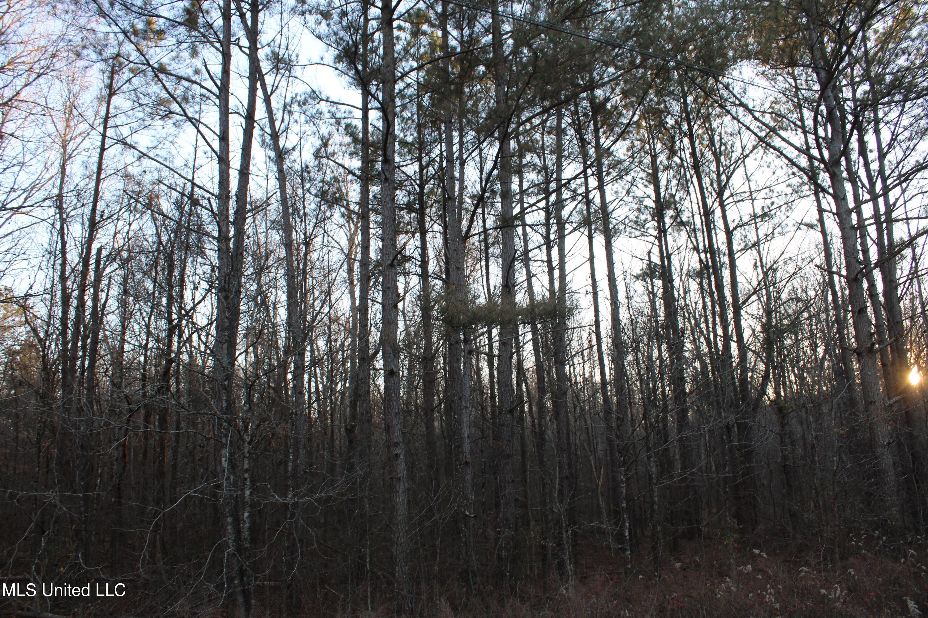 2200 Bryan Road Michigan City, MS 38647 - Photo 21 of 33 IMG_2866
