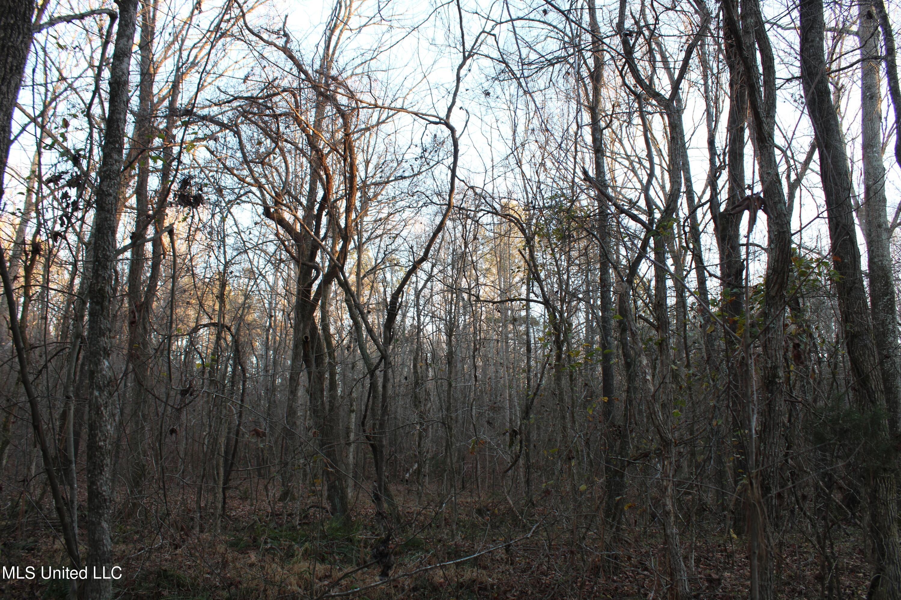 2200 Bryan Road Michigan City, MS 38647 - Photo 23 of 33 IMG_2868