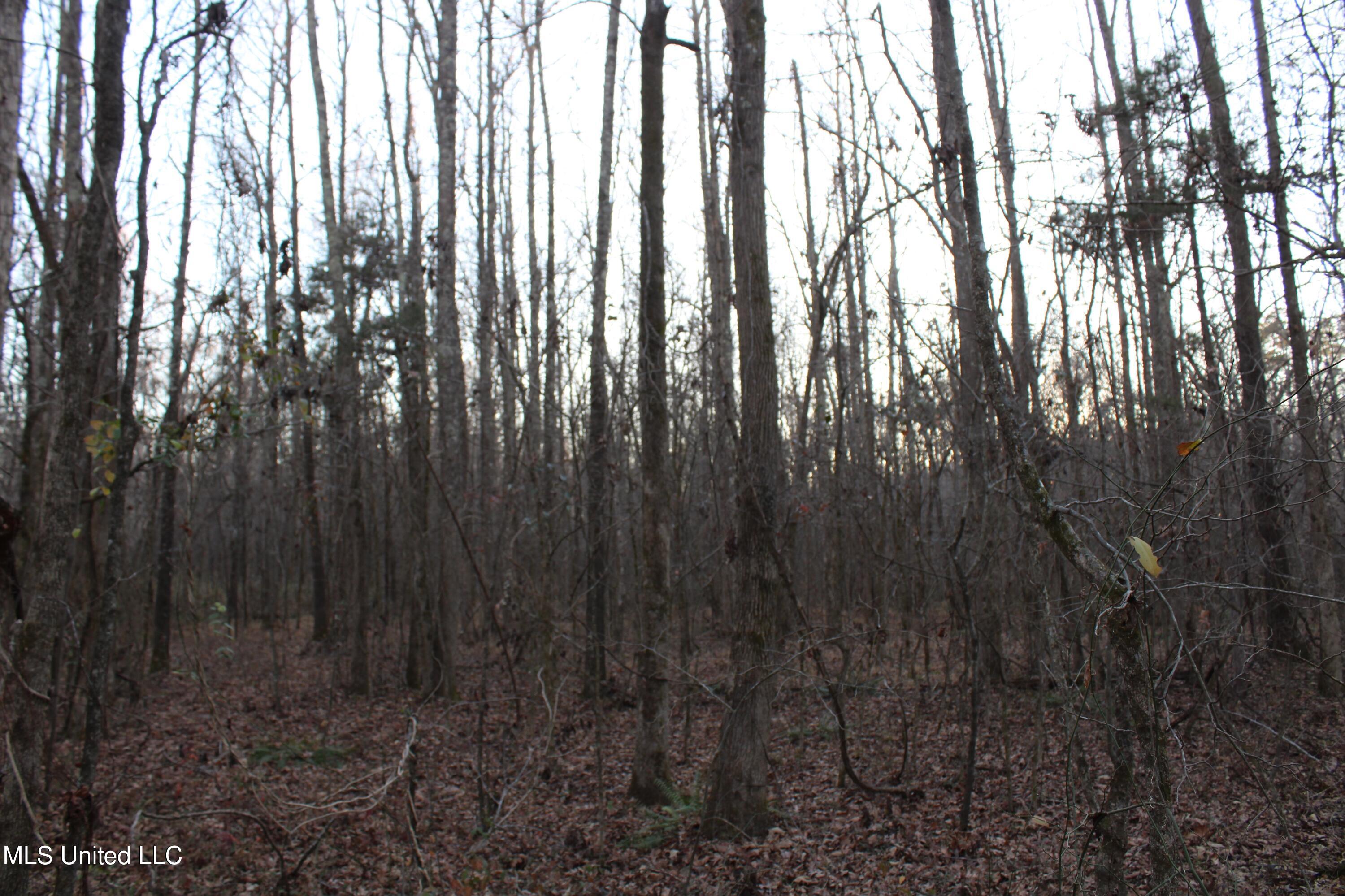 2200 Bryan Road Michigan City, MS 38647 - Photo 26 of 33 IMG_2871