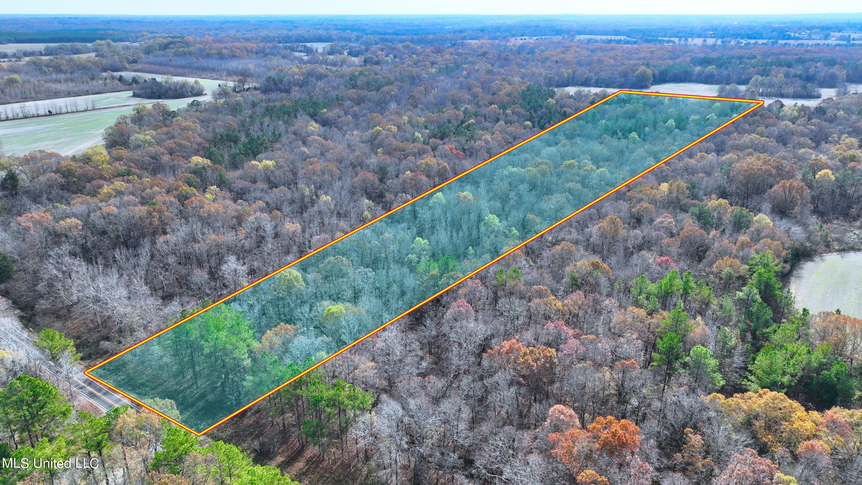 2200 Bryan Road Michigan City, MS 38647 - Photo 33 of 33 Lines2