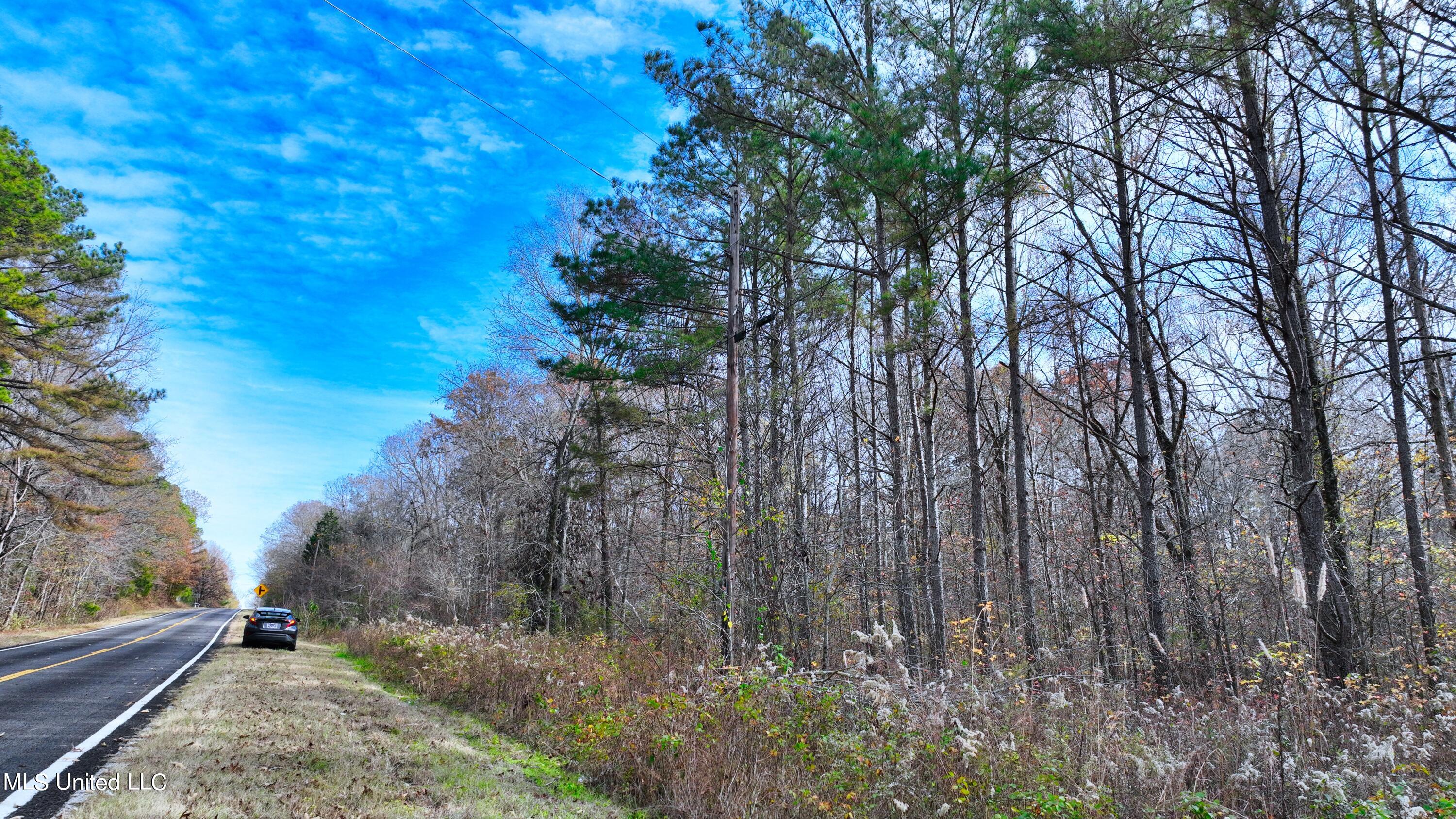 2200 Bryan Road Michigan City, MS 38647 - Photo 5 of 33 DJI_0981