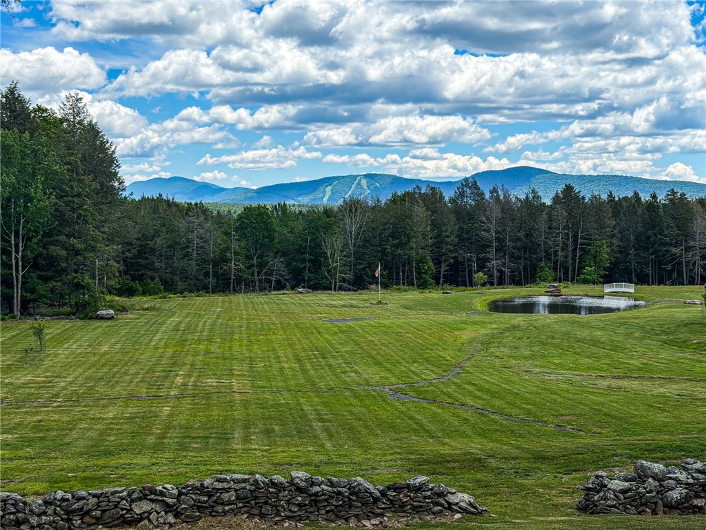 89 Zinno Road Windham, NY 12496 - Photo 41 of 50