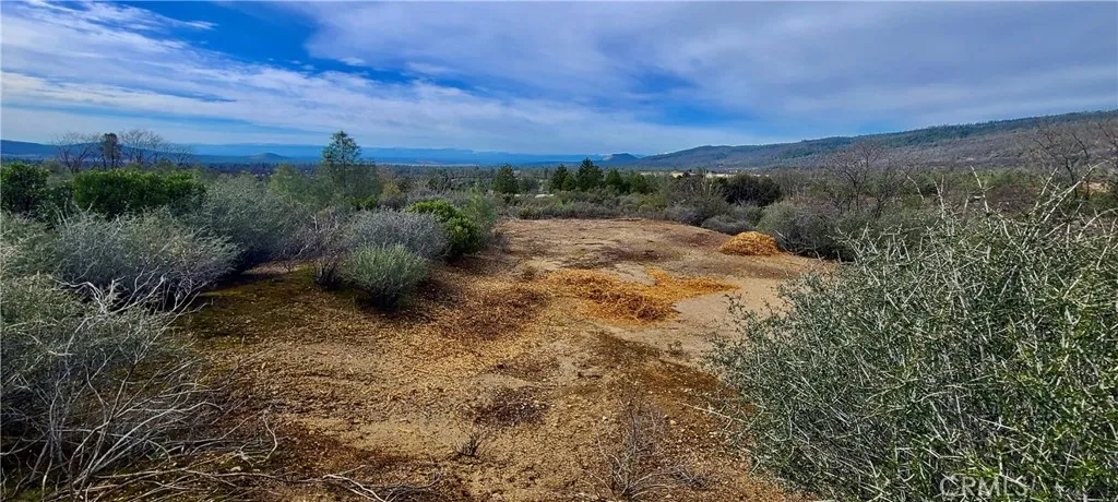 13 Battle View Drive Manton, CA 96059 - Photo 11 of 19 a view of a yard with an trees