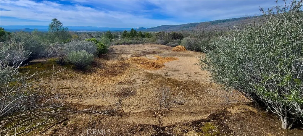 13 Battle View Drive Manton, CA 96059 - Photo 12 of 19 a view of a yard with an trees