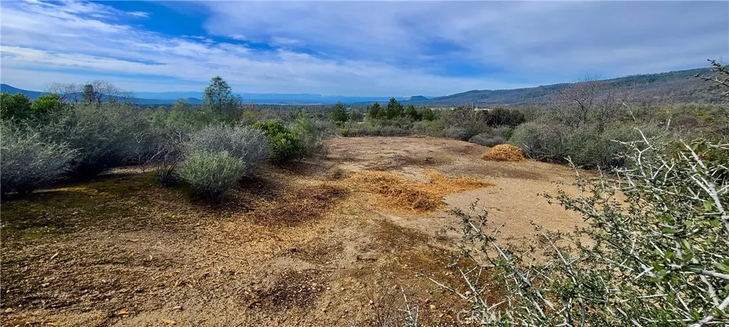 13 Battle View Drive Manton, CA 96059 - Photo 13 of 19 a view of a big yard with a house