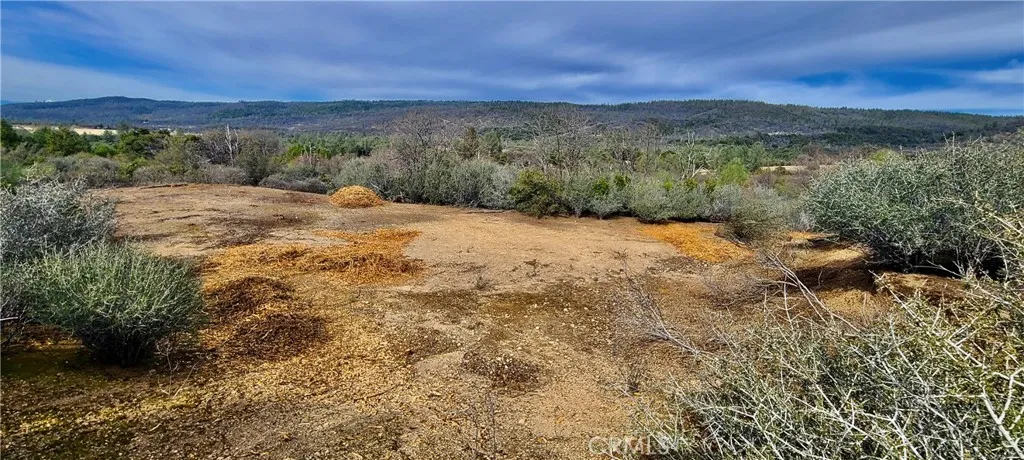 13 Battle View Drive Manton, CA 96059 - Photo 15 of 19