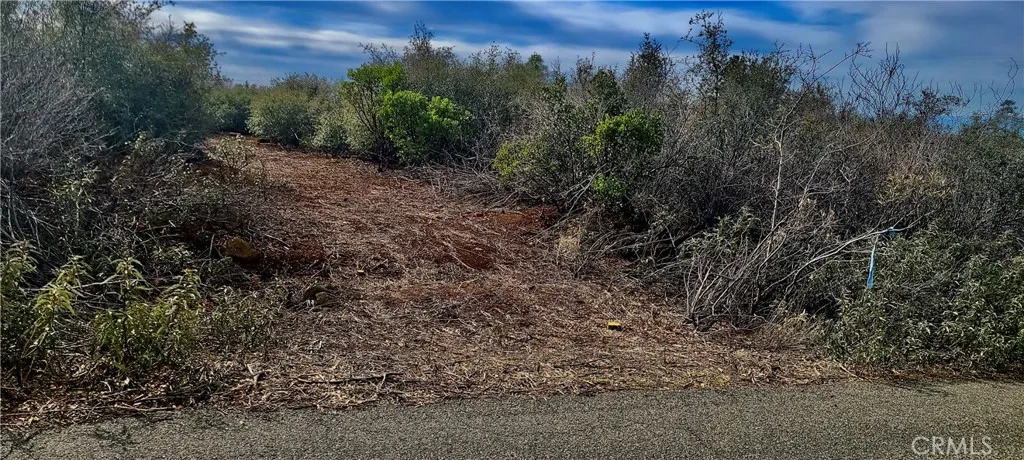 13 Battle View Drive Manton, CA 96059 - Photo 2 of 19 a view of a yard with a tree in the background