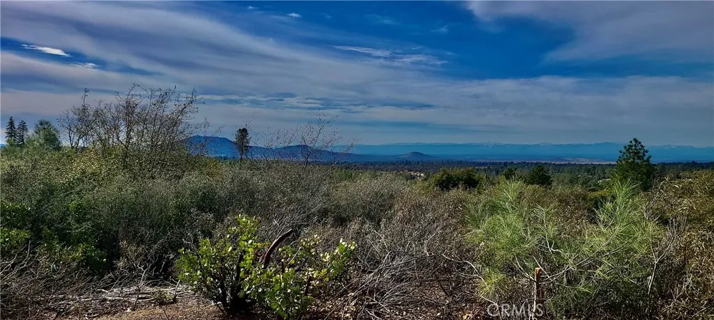 13 Battle View Drive Manton, CA 96059 - Photo 4 of 19 a view of a back yard
