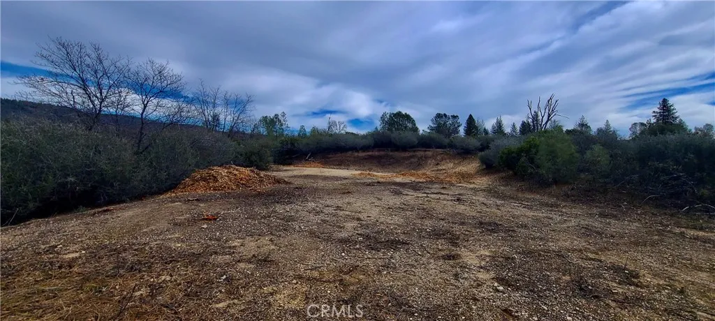 13 Battle View Drive Manton, CA 96059 - Photo 8 of 19