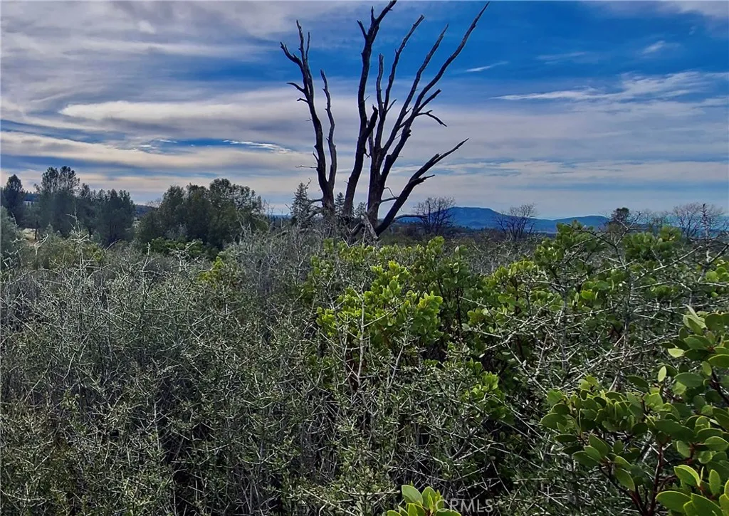 13 Battle View Drive Manton, CA 96059 - Photo 10 of 19 a view of a backyard of the house