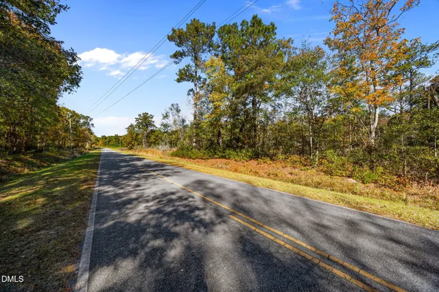 a view of a yard with an trees
