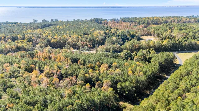 a view of a city with lush green forest