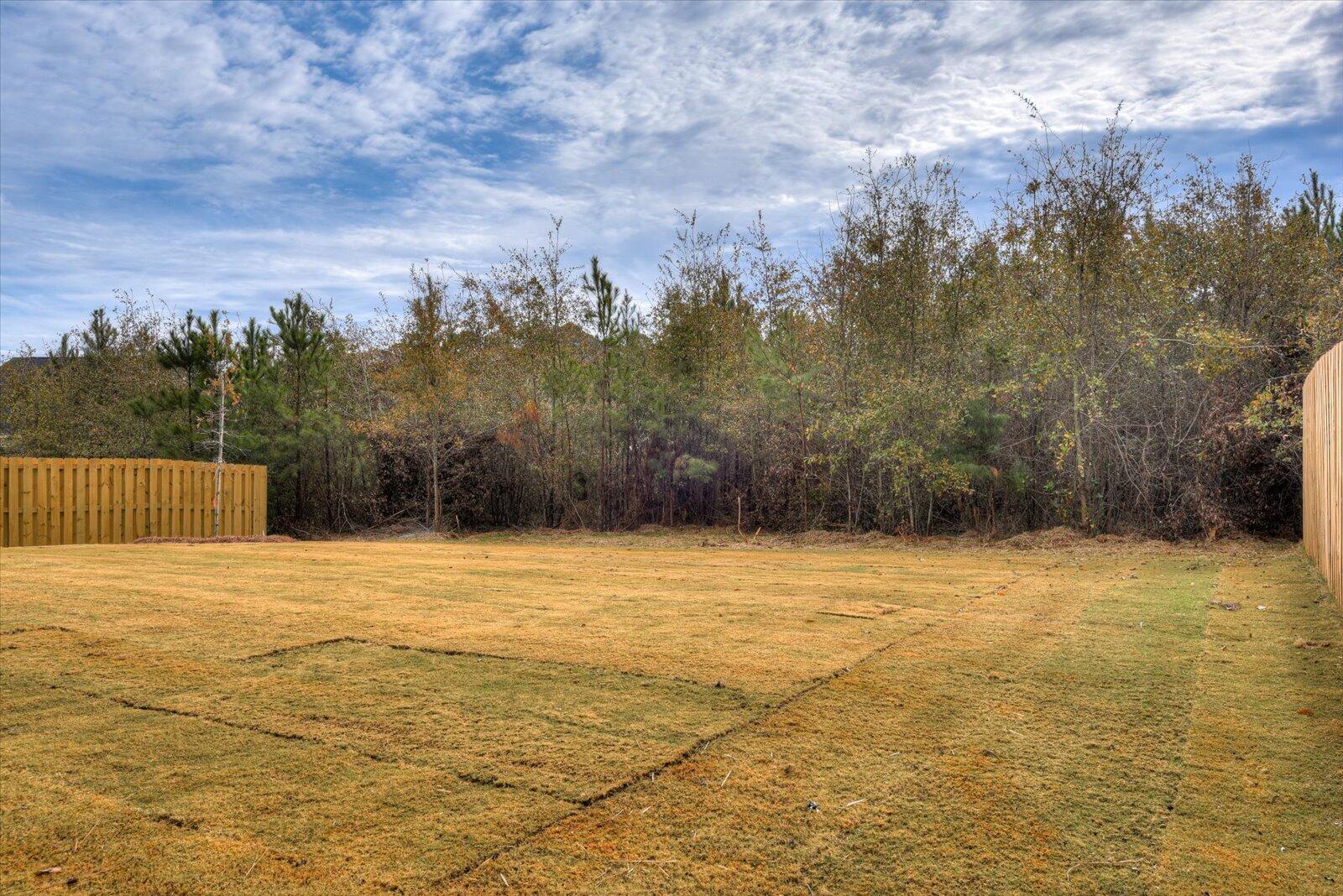 254 Switchgrass Aiken, SC 29803 - Photo 37 of 39
