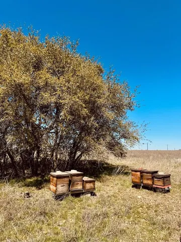 $184,967 | 166 Yosemite Drive, Oglesby, TX 76561