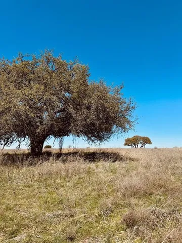 $184,967 | 166 Yosemite Drive, Oglesby, TX 76561