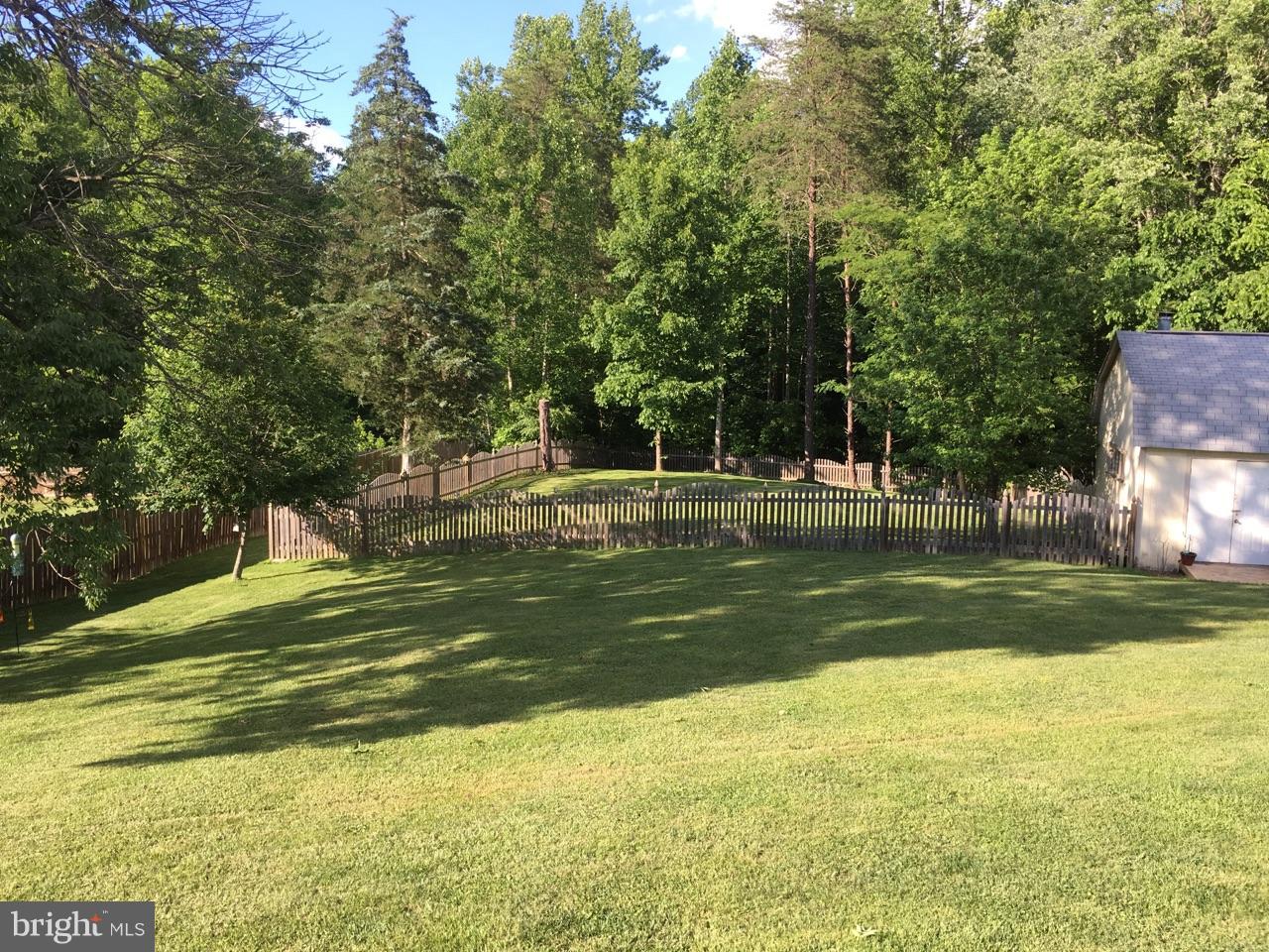 9101 Brock Road Spotsylvania, VA 22553 - Photo 4 of 18 fenced area for the dogs