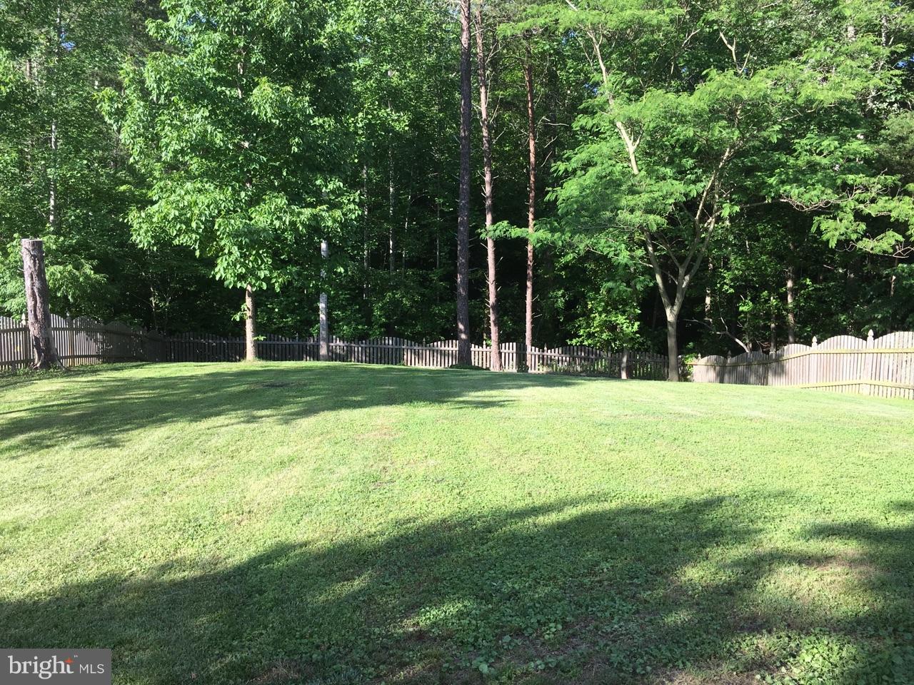 9101 Brock Road Spotsylvania, VA 22553 - Photo 5 of 18 spacious yard