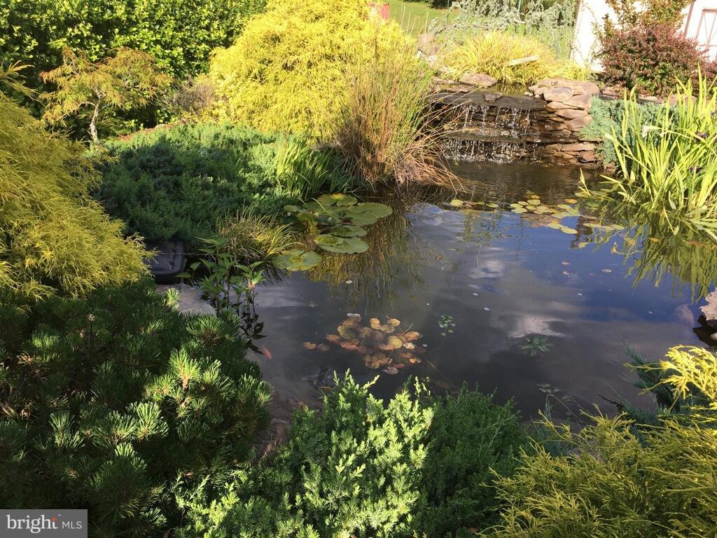 9101 Brock Road Spotsylvania, VA 22553 - Photo 7 of 18 Koi pond