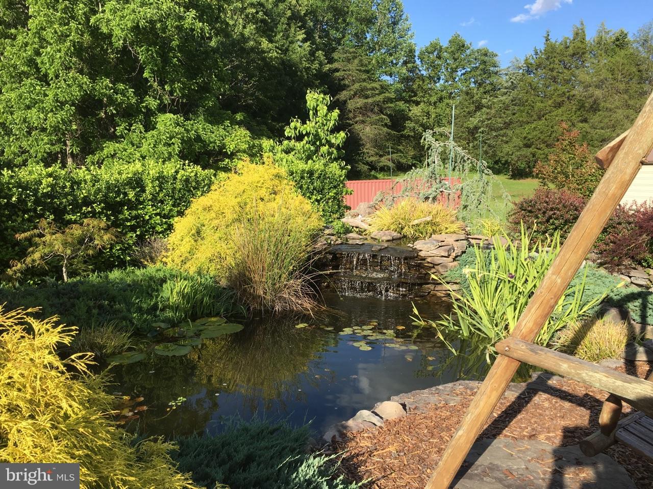 9101 Brock Road Spotsylvania, VA 22553 - Photo 8 of 18 Koi pond