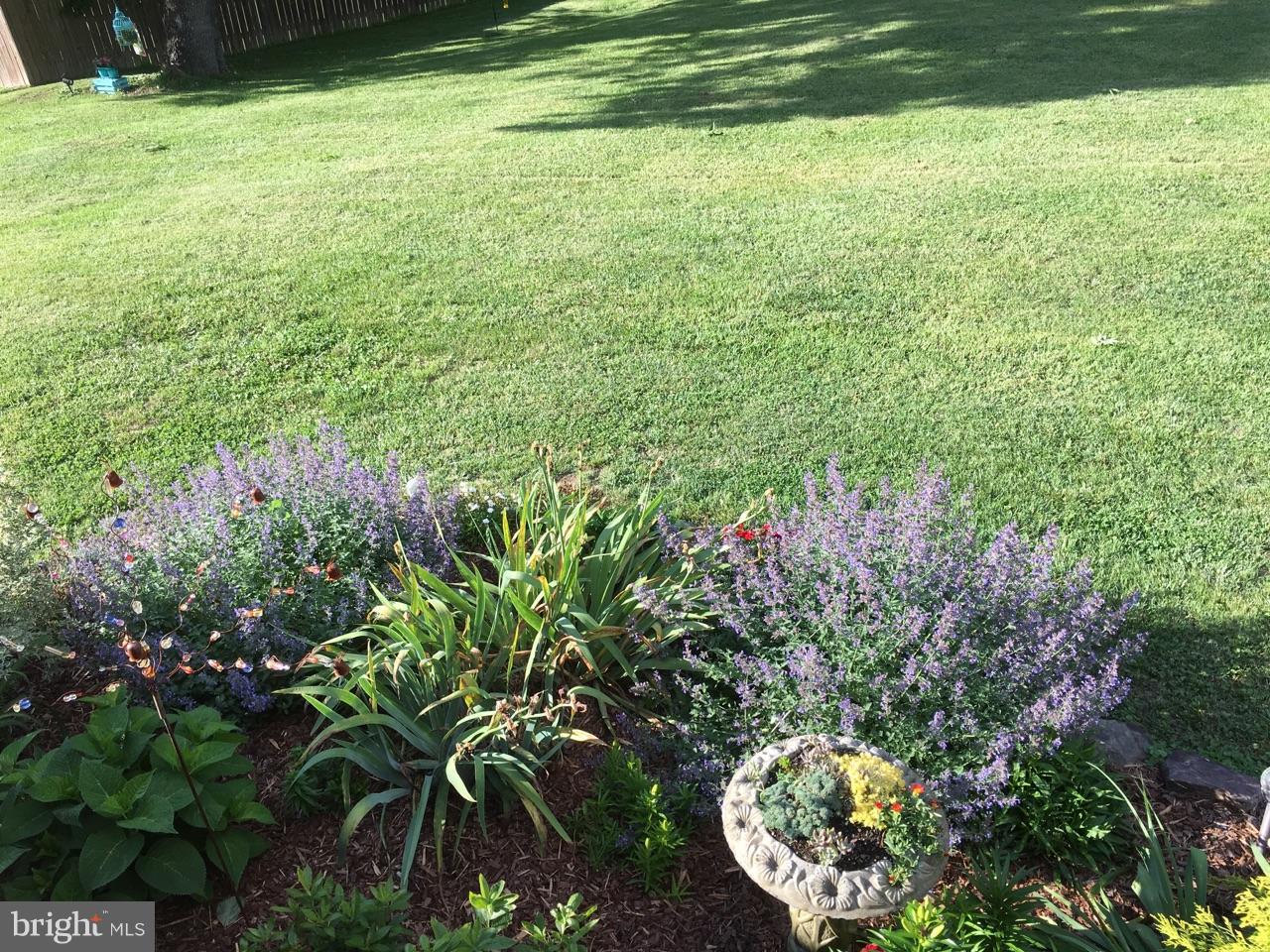 9101 Brock Road Spotsylvania, VA 22553 - Photo 9 of 18 Beautiful landscaping throughout the property