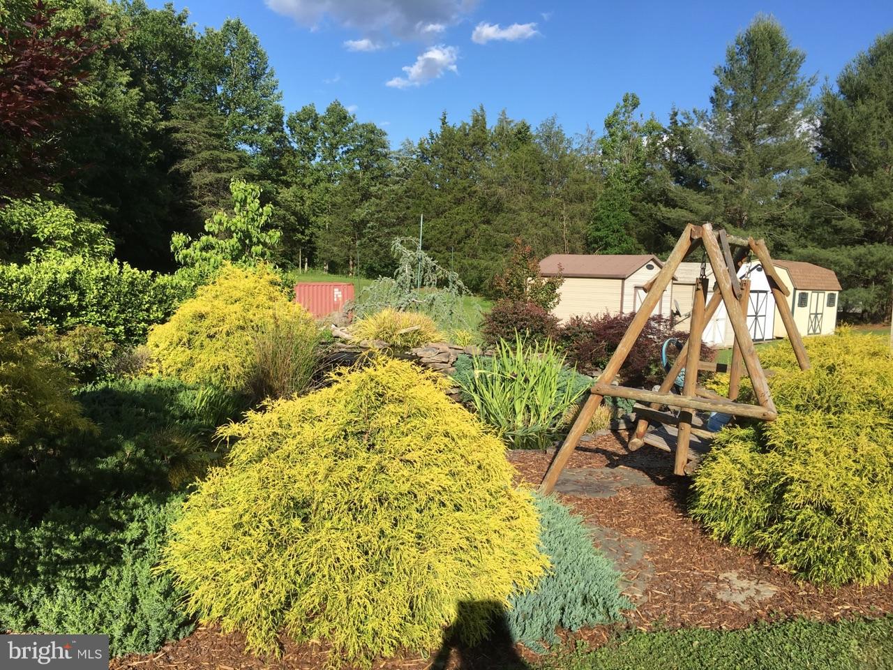 9101 Brock Road Spotsylvania, VA 22553 - Photo 10 of 18 relax by the Koi pond